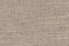 Desert-Palm-Maize