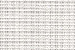 X2001-White