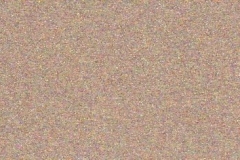 221-Star-Copper