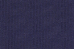 Corduroy-Navy