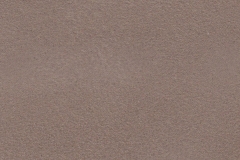 Suede-Cappucino-2