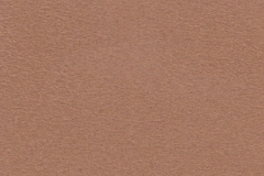 Suede-Rust-2