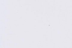 Ecoplas-Range-Pure-White